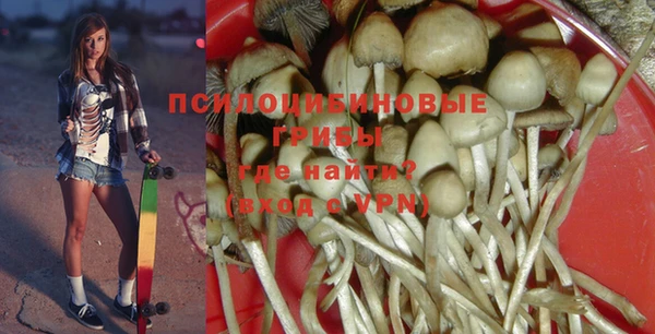 ALPHA-PVP Армянск